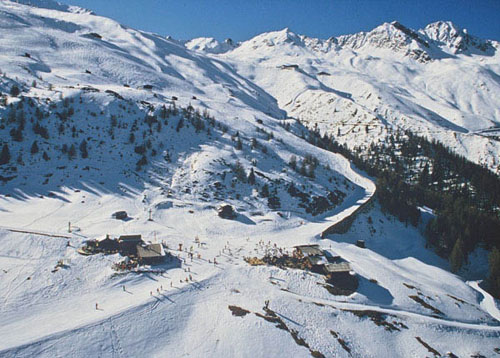 Gampealm